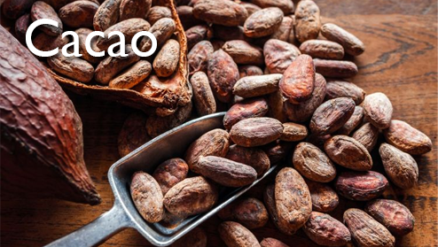 Cacao
